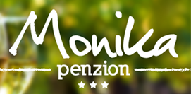 Reference Penzion Monika - tvorba loga a webu penzionu s vinným sklepem v Hrušovanech nad Jevišovkou